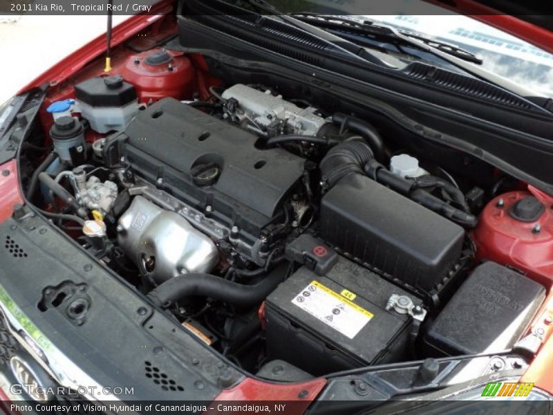 Tropical Red / Gray 2011 Kia Rio