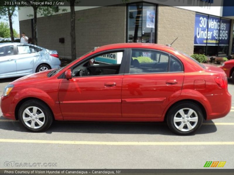 Tropical Red / Gray 2011 Kia Rio
