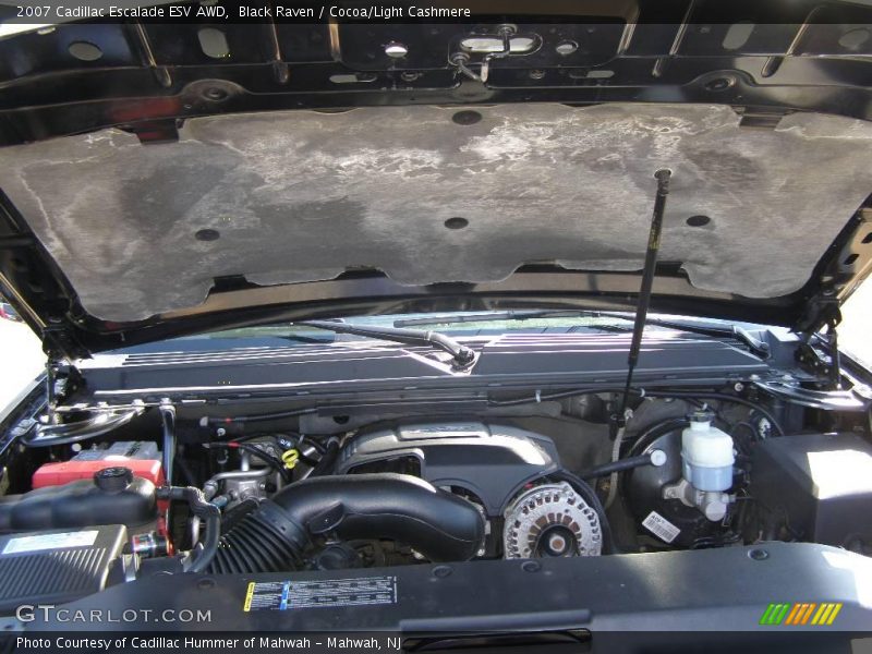 Black Raven / Cocoa/Light Cashmere 2007 Cadillac Escalade ESV AWD