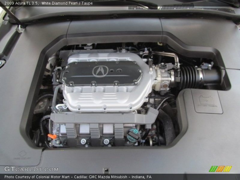 White Diamond Pearl / Taupe 2009 Acura TL 3.5