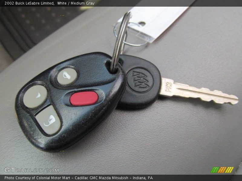 White / Medium Gray 2002 Buick LeSabre Limited