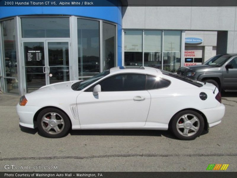  2003 Tiburon GT V6 Alpine White