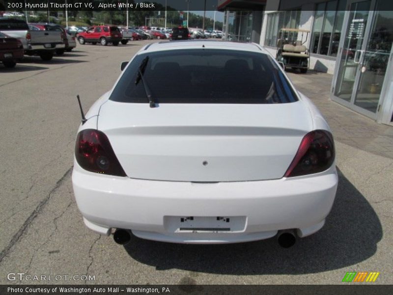 Alpine White / Black 2003 Hyundai Tiburon GT V6