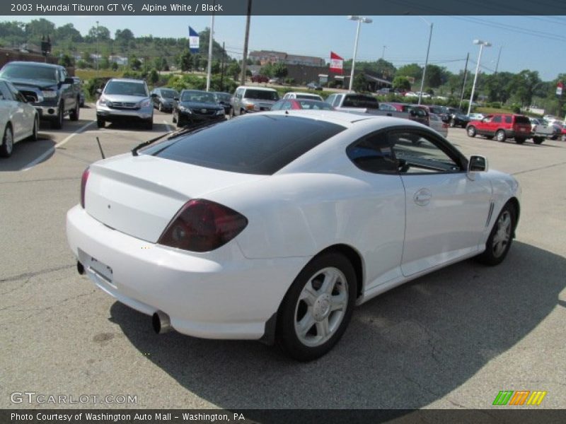 Alpine White / Black 2003 Hyundai Tiburon GT V6