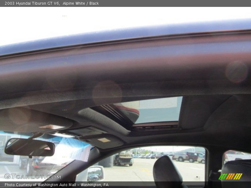 Alpine White / Black 2003 Hyundai Tiburon GT V6