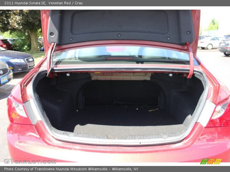 Venetian Red / Gray 2011 Hyundai Sonata SE