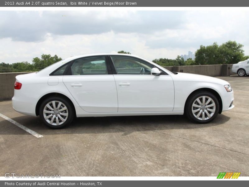  2013 A4 2.0T quattro Sedan Ibis White
