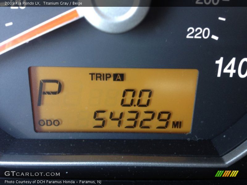 Titanium Gray / Beige 2009 Kia Rondo LX