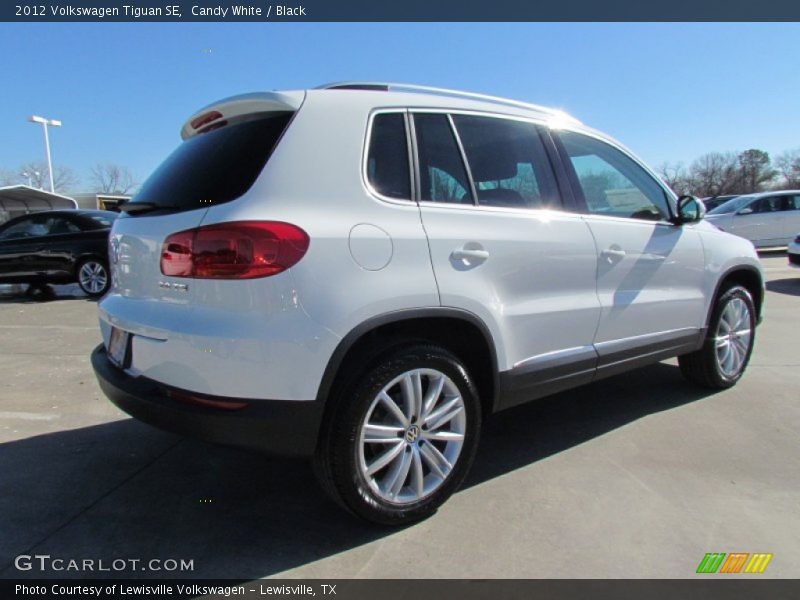 Candy White / Black 2012 Volkswagen Tiguan SE