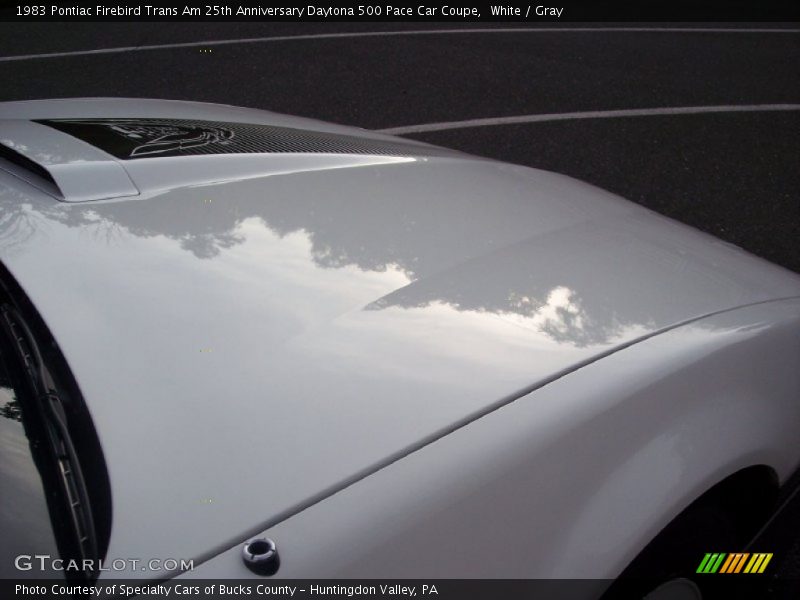 White / Gray 1983 Pontiac Firebird Trans Am 25th Anniversary Daytona 500 Pace Car Coupe