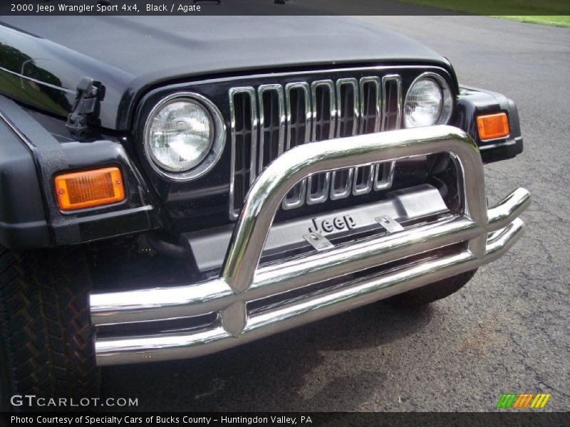 Black / Agate 2000 Jeep Wrangler Sport 4x4