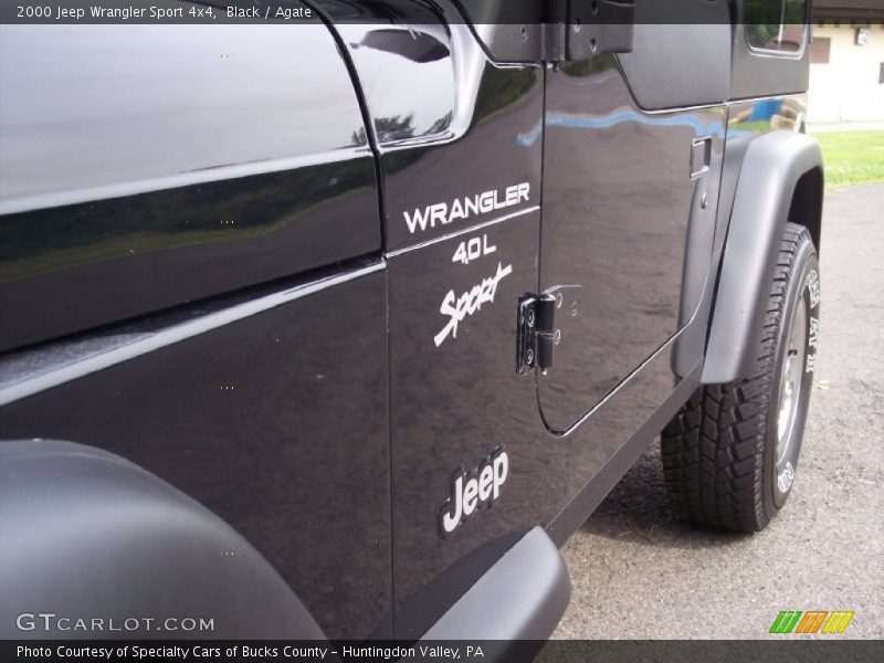 Black / Agate 2000 Jeep Wrangler Sport 4x4