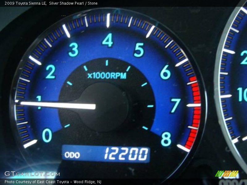 Silver Shadow Pearl / Stone 2009 Toyota Sienna LE