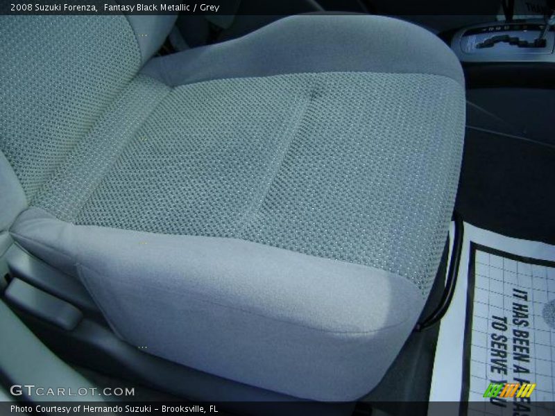 Fantasy Black Metallic / Grey 2008 Suzuki Forenza