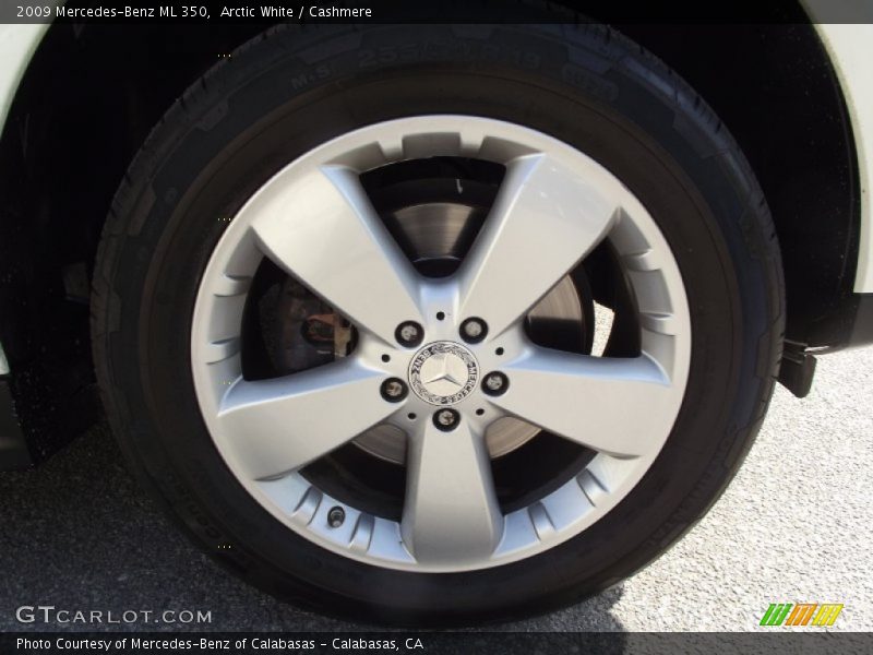 Arctic White / Cashmere 2009 Mercedes-Benz ML 350