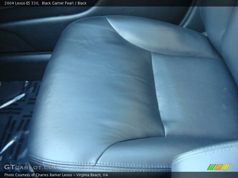 Black Garnet Pearl / Black 2004 Lexus ES 330