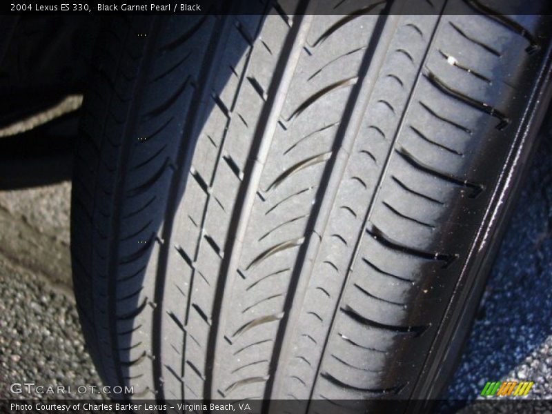Black Garnet Pearl / Black 2004 Lexus ES 330