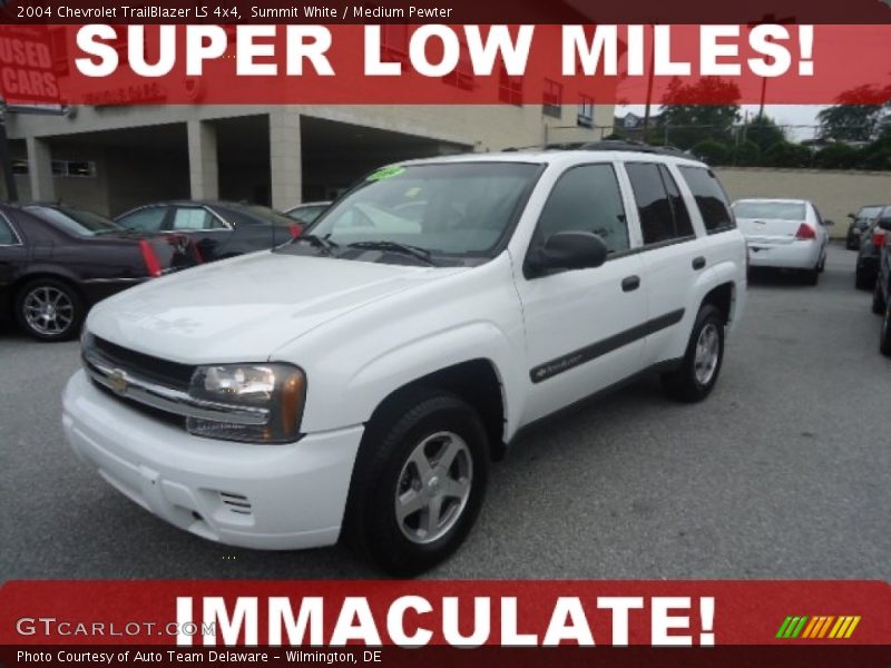 Summit White / Medium Pewter 2004 Chevrolet TrailBlazer LS 4x4