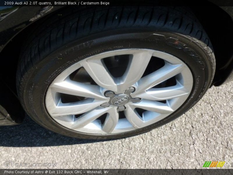 Brilliant Black / Cardamom Beige 2009 Audi A3 2.0T quattro