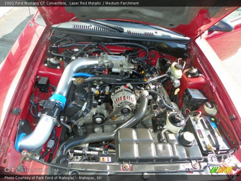 Laser Red Metallic / Medium Parchment 2001 Ford Mustang GT Convertible