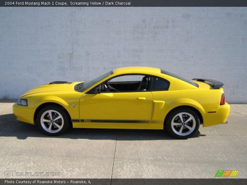 Screaming Yellow / Dark Charcoal 2004 Ford Mustang Mach 1 Coupe