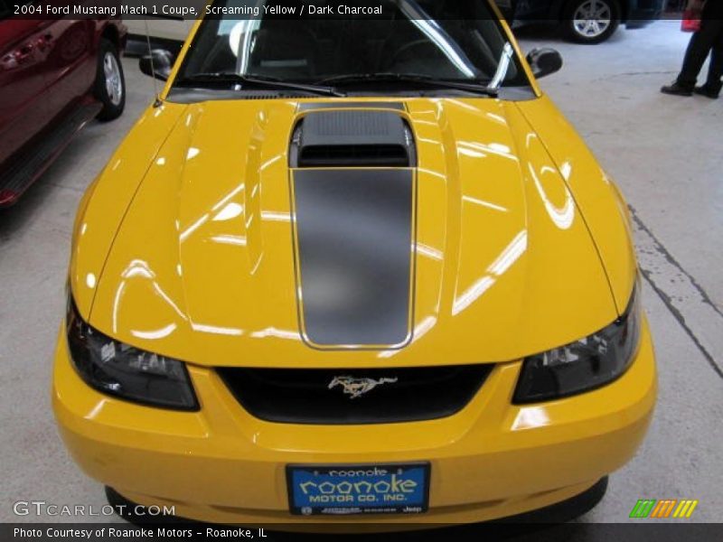 Screaming Yellow / Dark Charcoal 2004 Ford Mustang Mach 1 Coupe