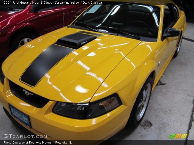 Screaming Yellow / Dark Charcoal 2004 Ford Mustang Mach 1 Coupe