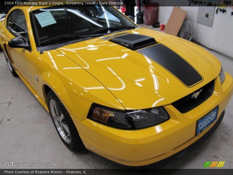Screaming Yellow / Dark Charcoal 2004 Ford Mustang Mach 1 Coupe