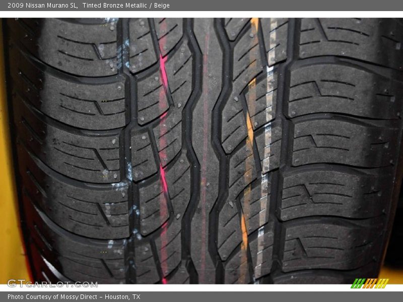 Tinted Bronze Metallic / Beige 2009 Nissan Murano SL