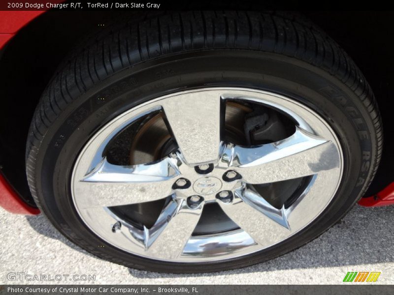 TorRed / Dark Slate Gray 2009 Dodge Charger R/T
