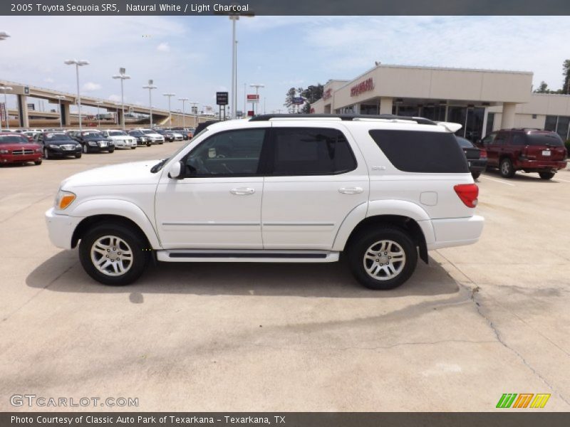 Natural White / Light Charcoal 2005 Toyota Sequoia SR5