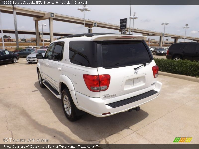 Natural White / Light Charcoal 2005 Toyota Sequoia SR5