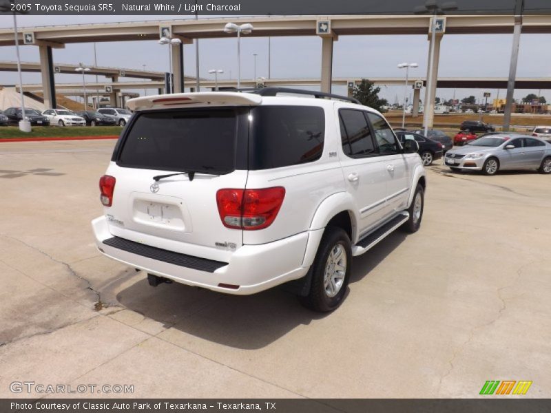 Natural White / Light Charcoal 2005 Toyota Sequoia SR5