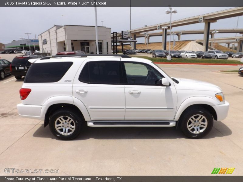 Natural White / Light Charcoal 2005 Toyota Sequoia SR5