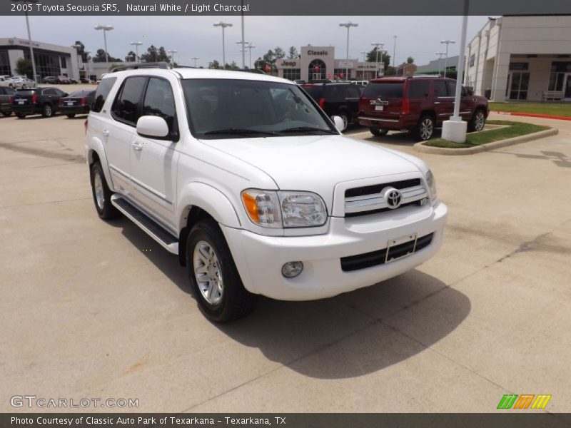 Natural White / Light Charcoal 2005 Toyota Sequoia SR5