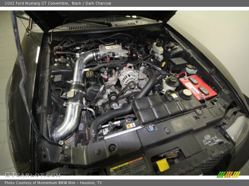 Black / Dark Charcoal 2002 Ford Mustang GT Convertible