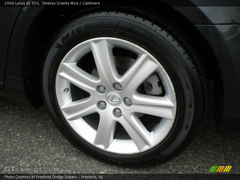 Smokey Granite Mica / Cashmere 2009 Lexus ES 350