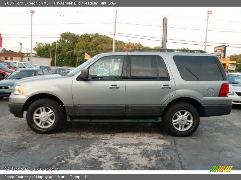 Pewter Metallic / Medium Flint Grey 2006 Ford Expedition XLT