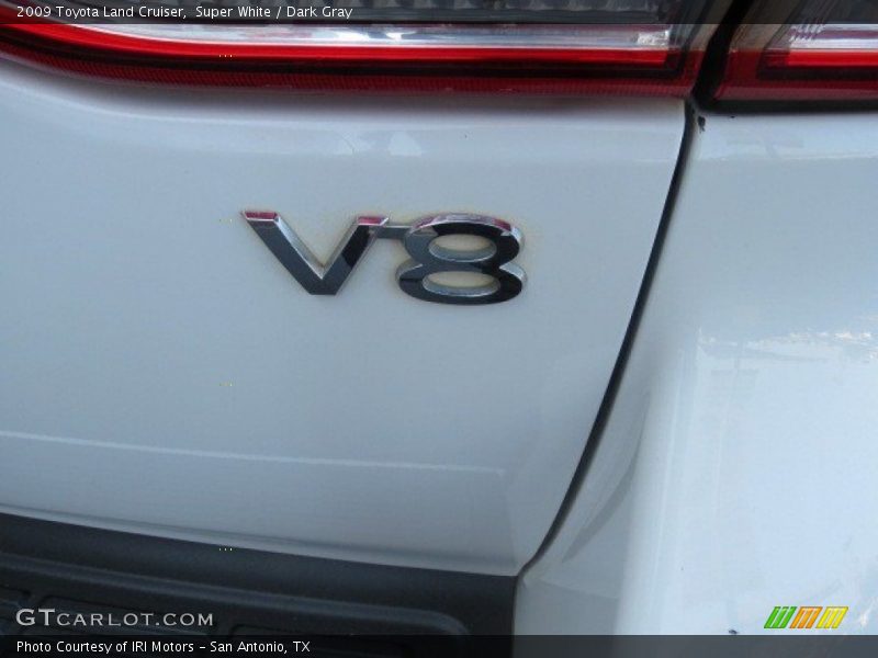 Super White / Dark Gray 2009 Toyota Land Cruiser