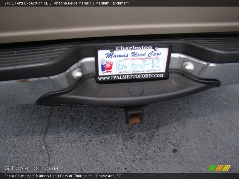 Arizona Beige Metallic / Medium Parchment 2001 Ford Expedition XLT
