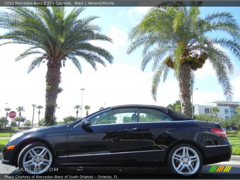 Black / Almond/Mocha 2011 Mercedes-Benz E 350 Cabriolet