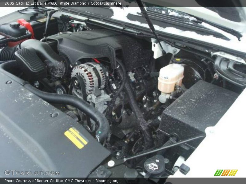White Diamond / Cocoa/Cashmere 2009 Cadillac Escalade AWD