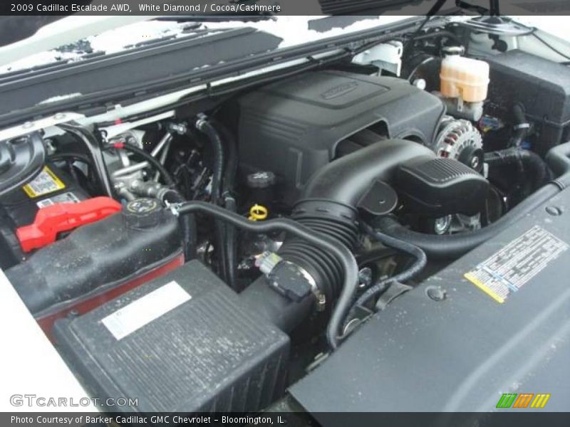 White Diamond / Cocoa/Cashmere 2009 Cadillac Escalade AWD