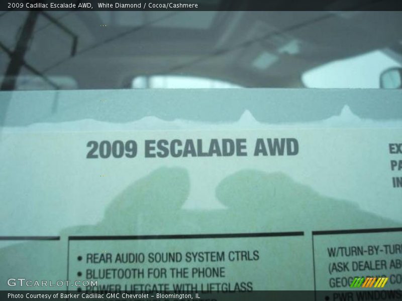 White Diamond / Cocoa/Cashmere 2009 Cadillac Escalade AWD