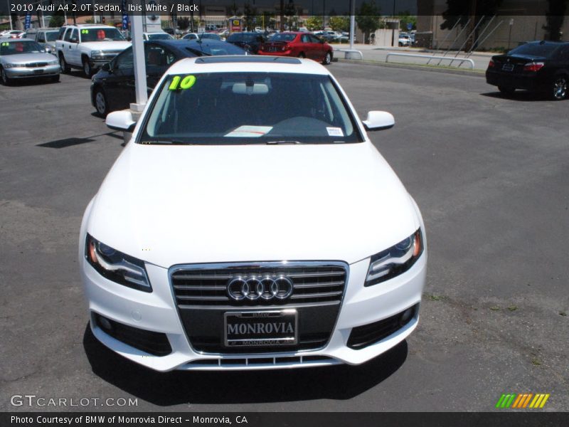 Ibis White / Black 2010 Audi A4 2.0T Sedan