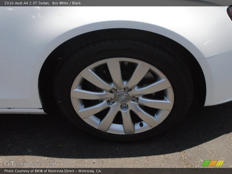 Ibis White / Black 2010 Audi A4 2.0T Sedan