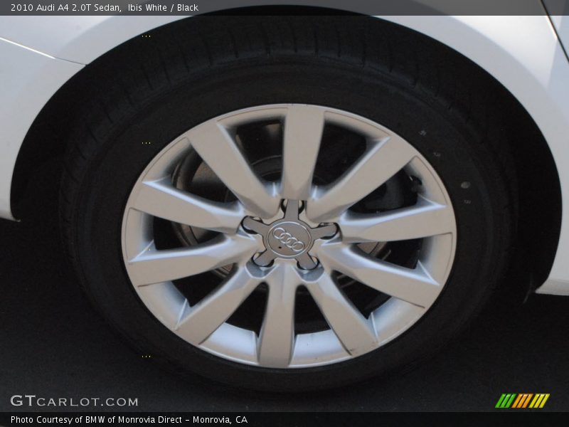 Ibis White / Black 2010 Audi A4 2.0T Sedan