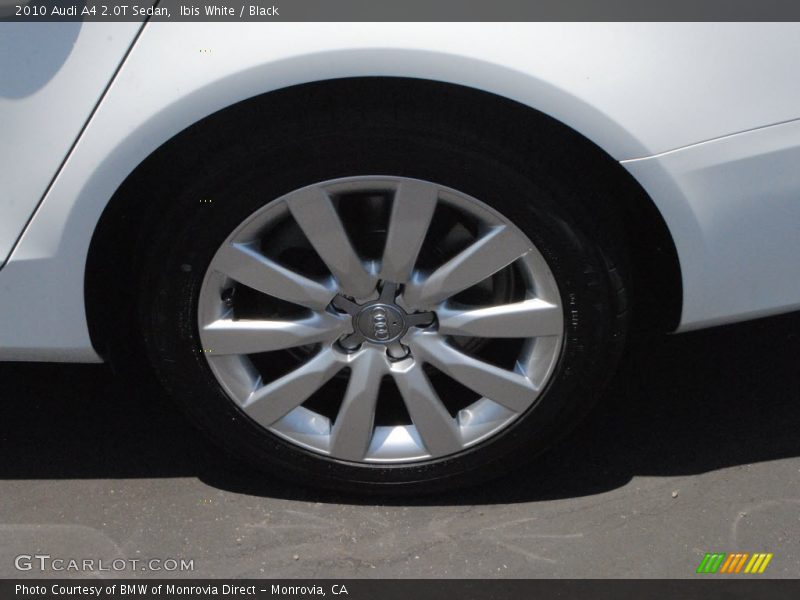 Ibis White / Black 2010 Audi A4 2.0T Sedan