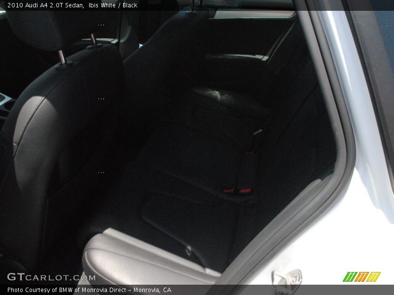Ibis White / Black 2010 Audi A4 2.0T Sedan
