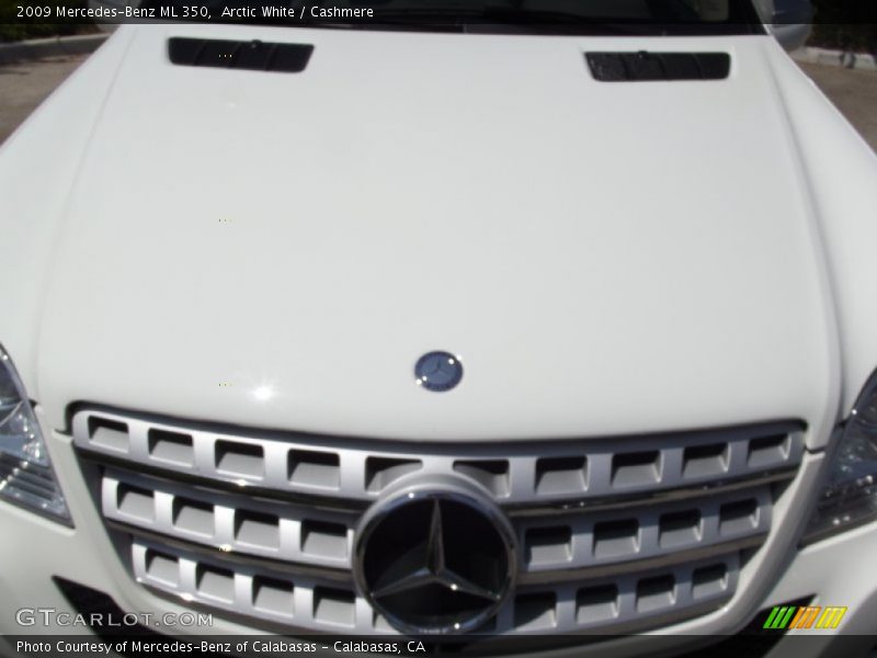 Arctic White / Cashmere 2009 Mercedes-Benz ML 350